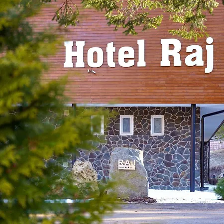 Hotel Raj 3*