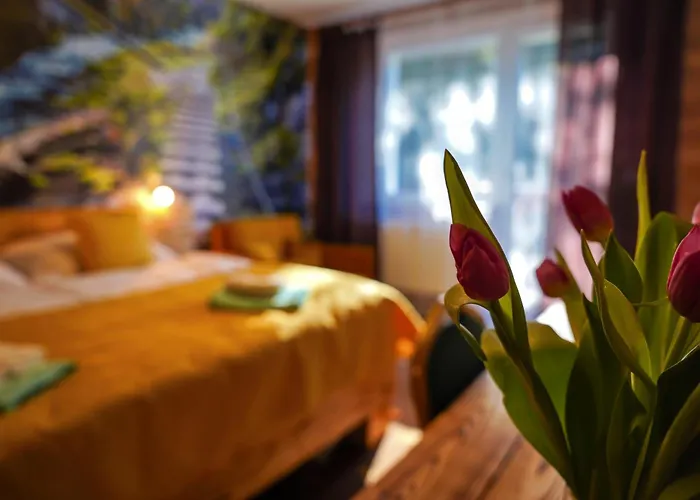 Raj Hotel 3*
