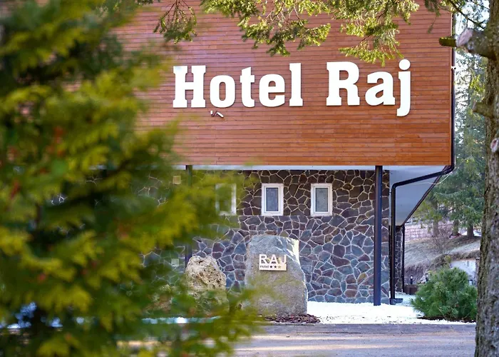 Hotel Raj 3*